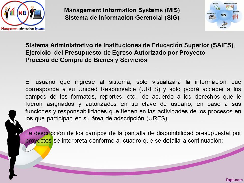Management Information Systems (MIS) Sistema de Información Gerencial (SIG)