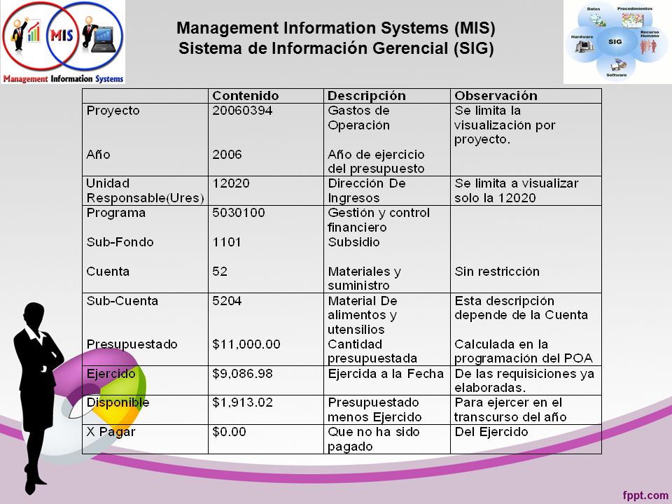 Management Information Systems (MIS) Sistema de Información Gerencial (SIG)