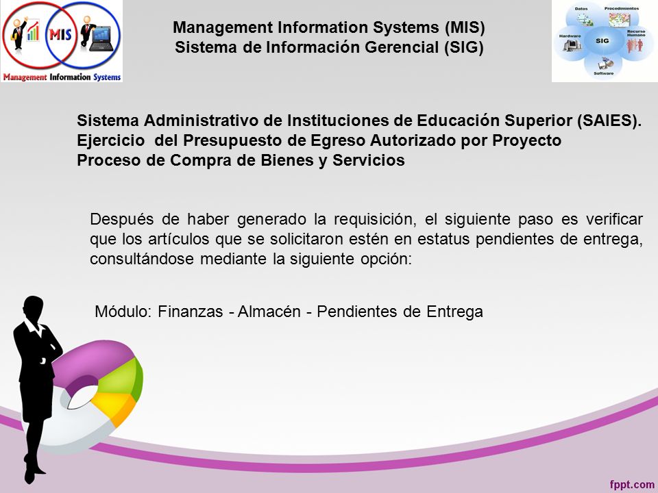 Management Information Systems (MIS) Sistema de Información Gerencial (SIG)