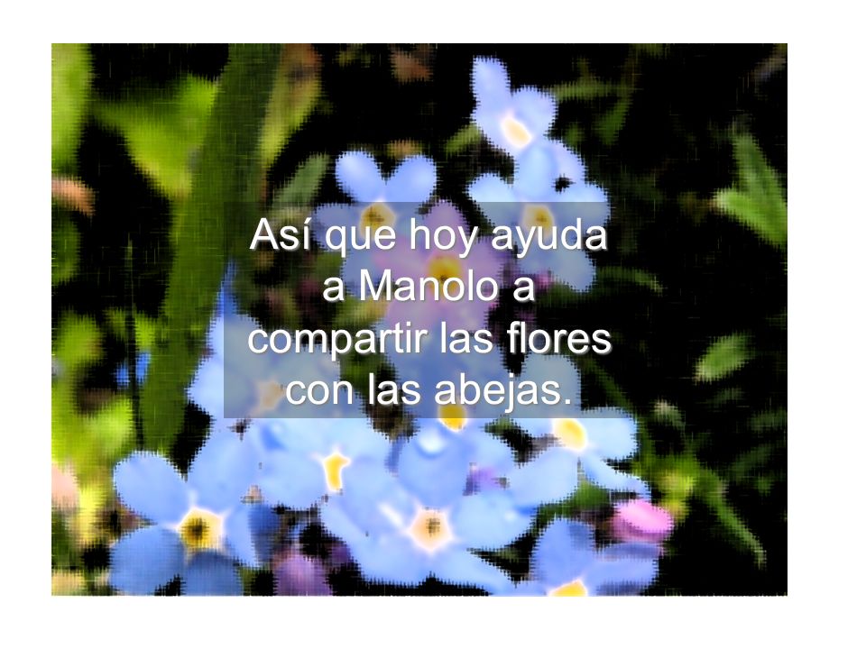 Así que hoy ayuda a Manolo a compartir las flores con las abejas.