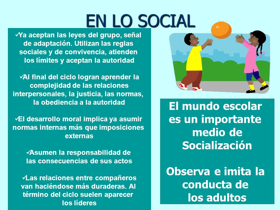EN LO SOCIAL El mundo escolar es un importante medio de Socialización