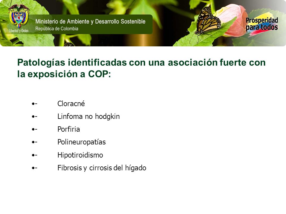 Patologías identificadas con una asociación fuerte con la exposición a COP: