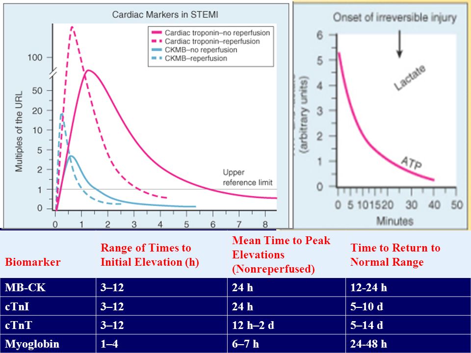 Biomarker Range of Times to Initial Elevation (h) Mean Time to Peak Elevations (Nonreperfused) Time to Return to Normal Range.