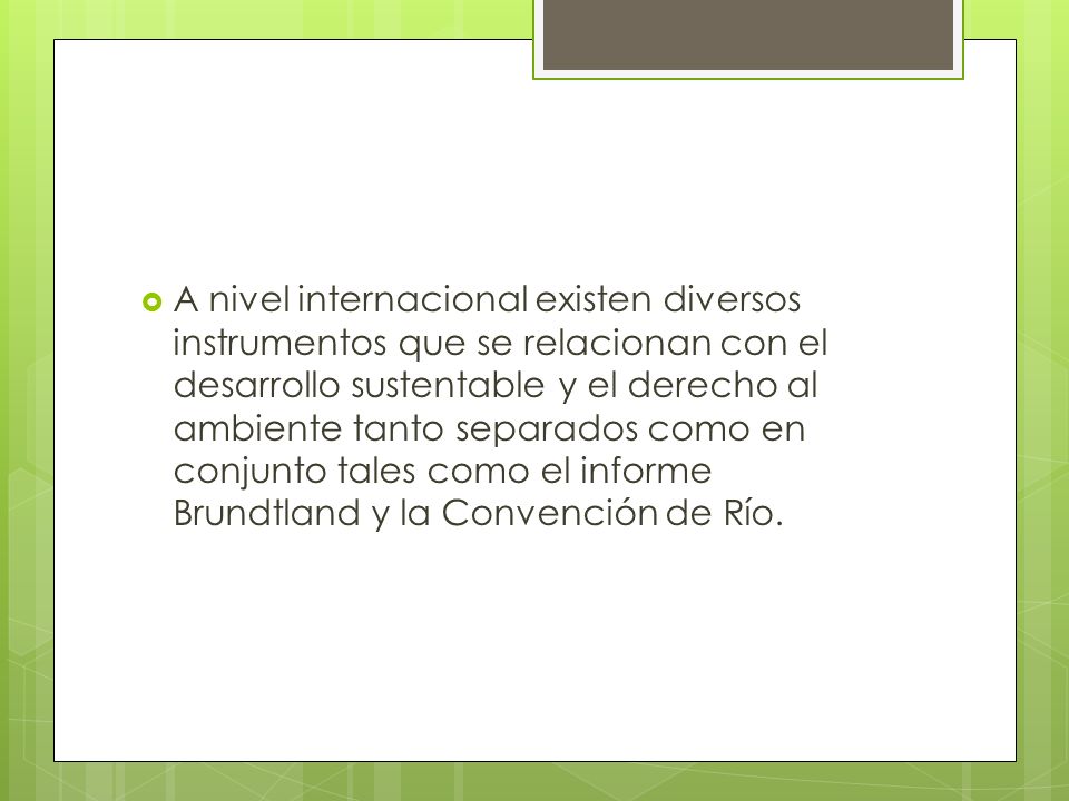 A nivel internacional existen diversos instrumentos que se relacionan con el desarrollo sustentable y el derecho al ambiente tanto separados como en conjunto tales como el informe Brundtland y la Convención de Río.