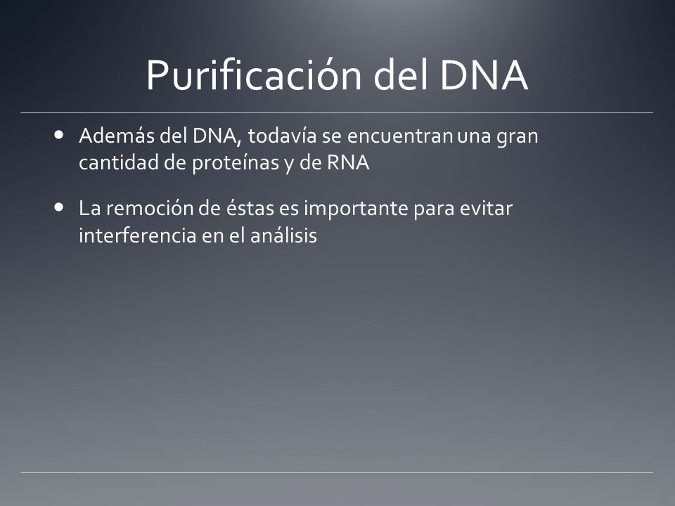 Purificación del DNA Además del DNA, todavía se encuentran una gran cantidad de proteínas y de RNA.