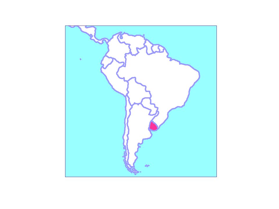 Ante el éxito con este estudio, decidimos, hace dos años iniciar un trabajo de búsqueda de principios anti-T. cruzi en plantas uruguayas.