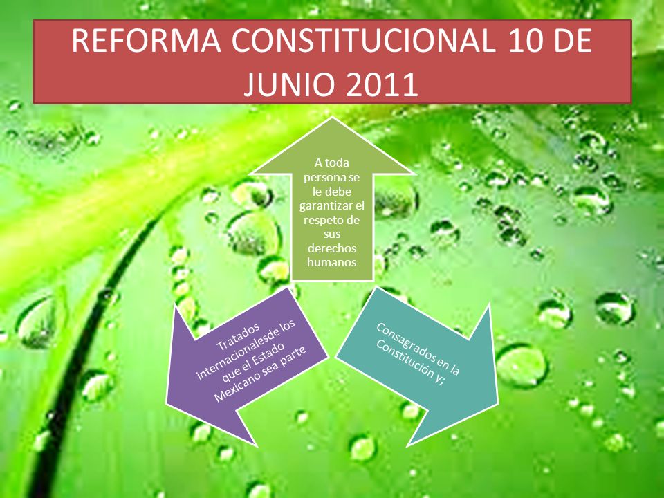 REFORMA CONSTITUCIONAL 10 DE JUNIO 2011