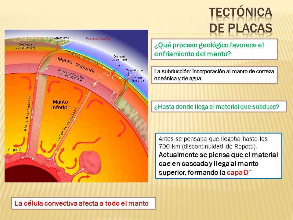 Tectónica de placas Proyecto biosfera. ¿Qué proceso geológico favorece el enfriamiento del manto