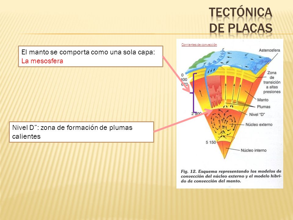 Tectónica de placas El manto se comporta como una sola capa: