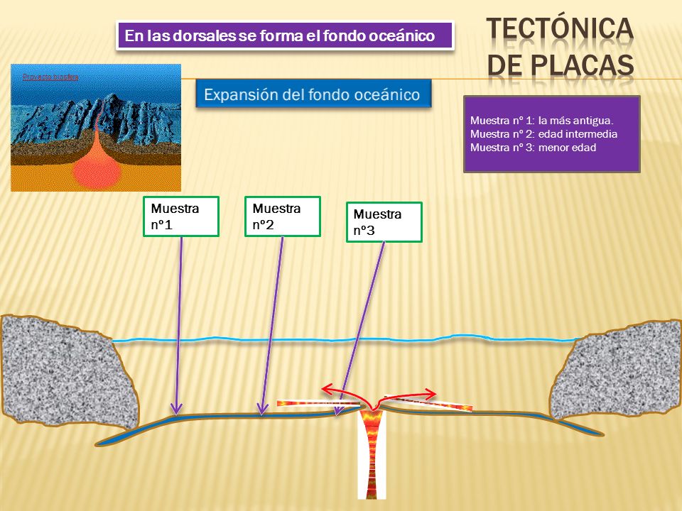 Tectónica de placas En las dorsales se forma el fondo oceánico