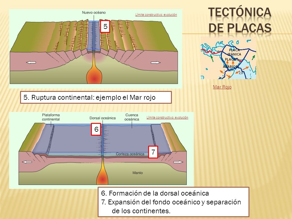 Tectónica de placas 5 5. Ruptura continental: ejemplo el Mar rojo 6 7