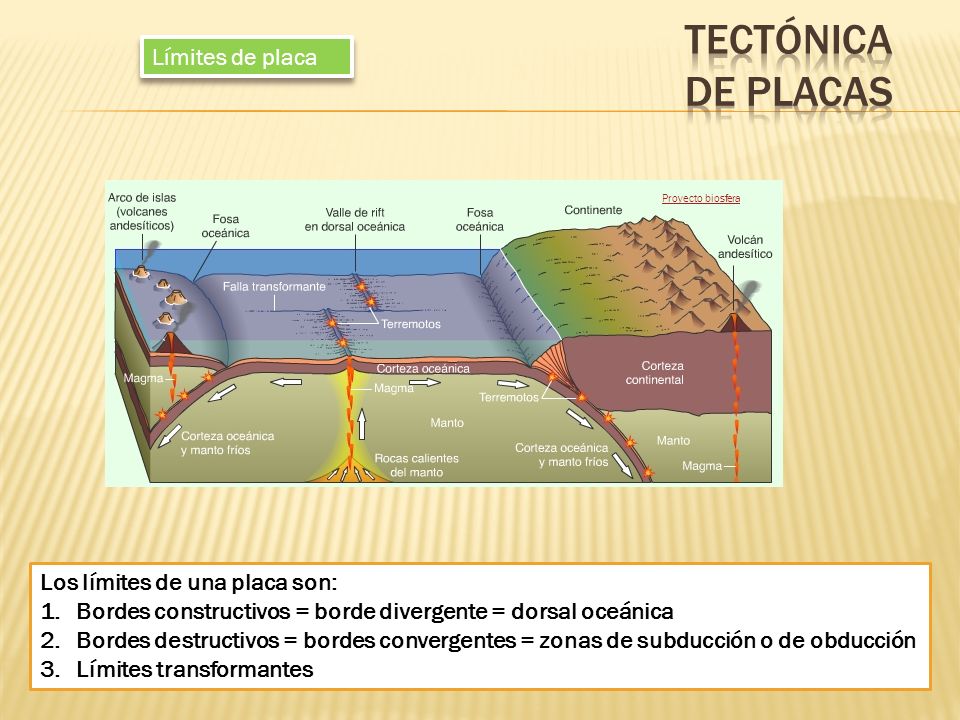 Tectónica de placas Límites de placa Los límites de una placa son: