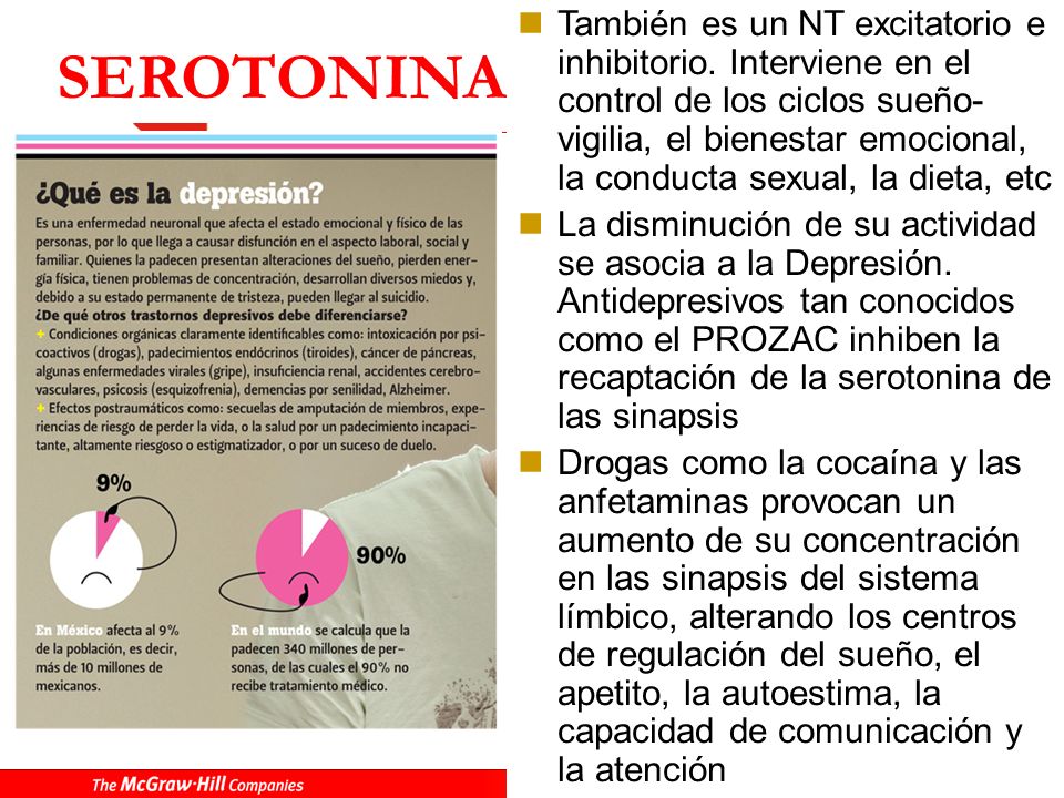EL SISTEMA NERVIOSO Y SU RELACIÓN CON LA PSIQUE HUMANA