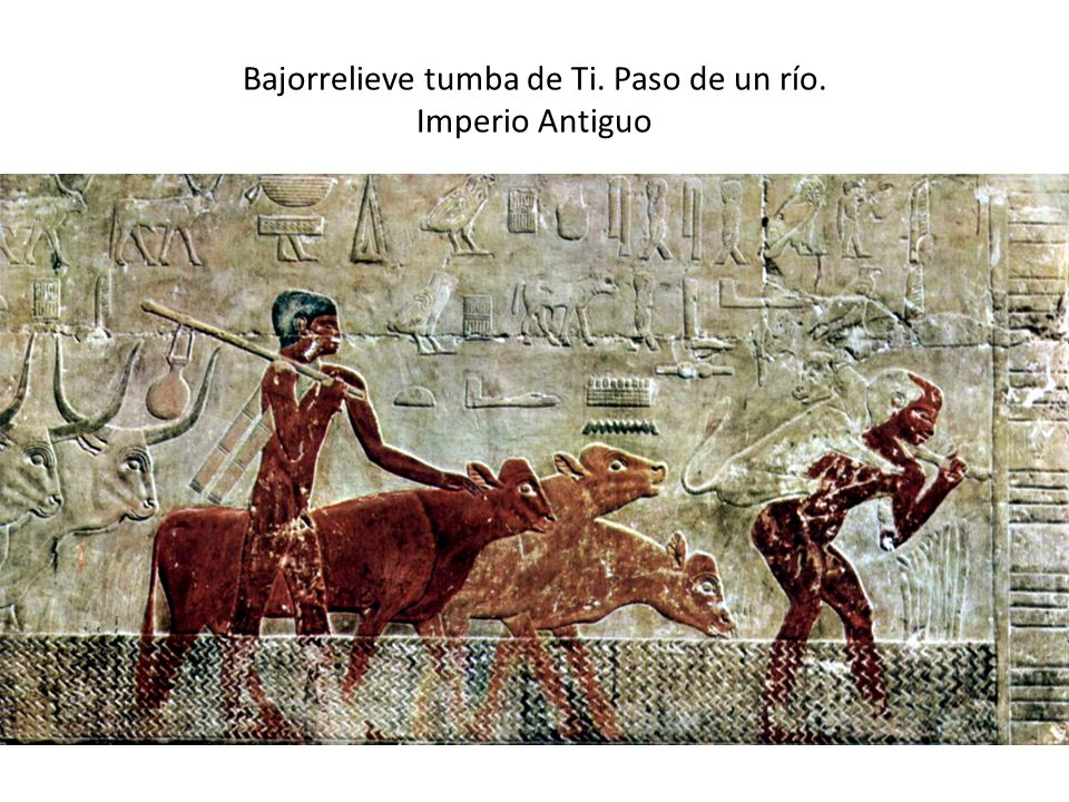 Bajorrelieve tumba de Ti. Paso de un río. Imperio Antiguo