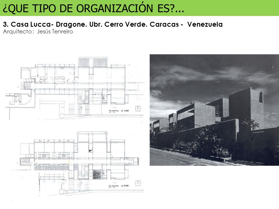 ¿QUE TIPO DE ORGANIZACIÓN ES ...