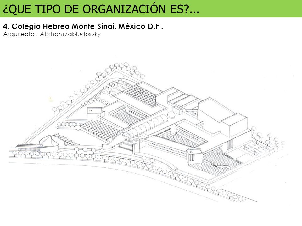 ¿QUE TIPO DE ORGANIZACIÓN ES ...