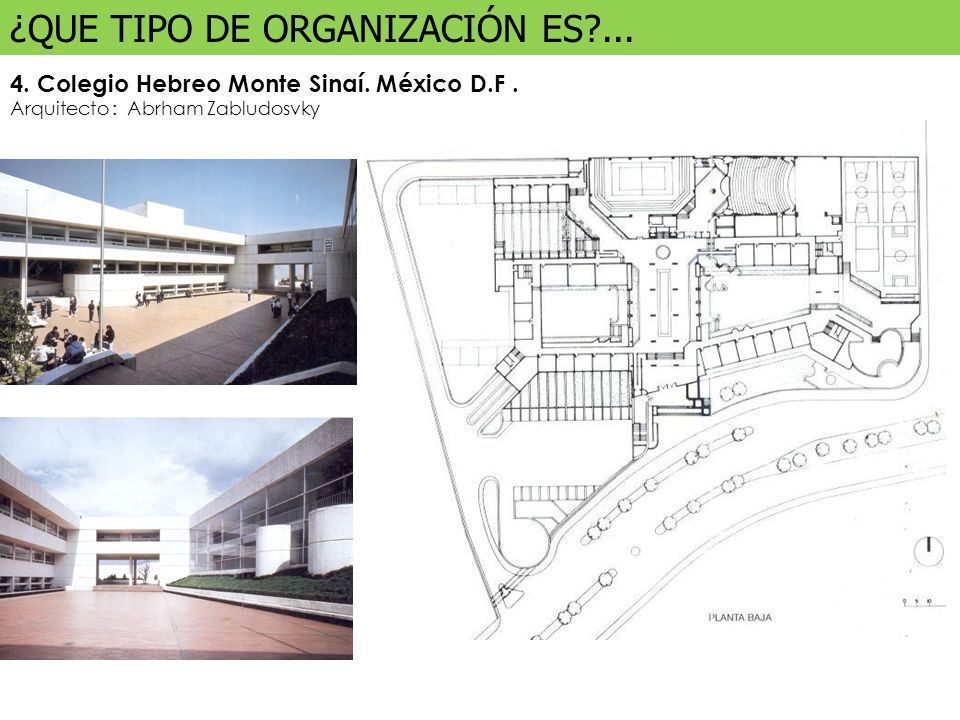 ¿QUE TIPO DE ORGANIZACIÓN ES ...