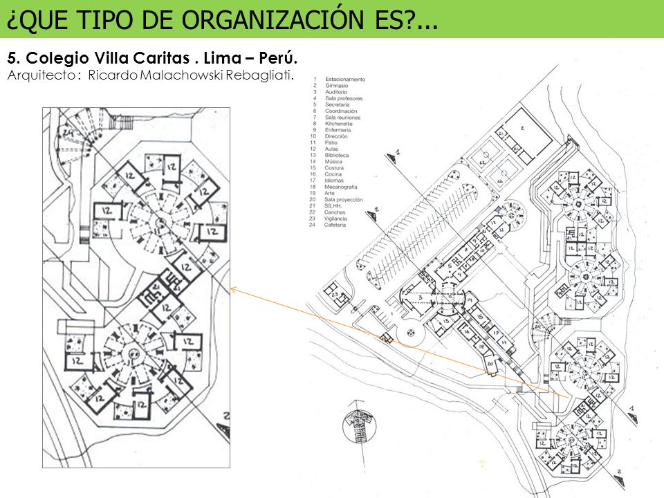 ¿QUE TIPO DE ORGANIZACIÓN ES ...