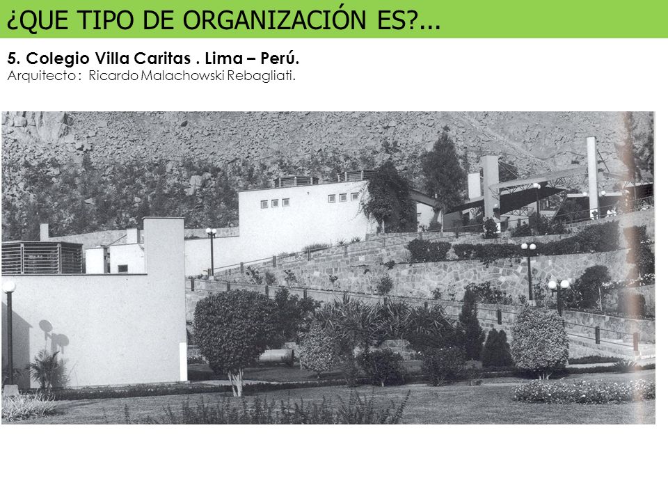 ¿QUE TIPO DE ORGANIZACIÓN ES ...