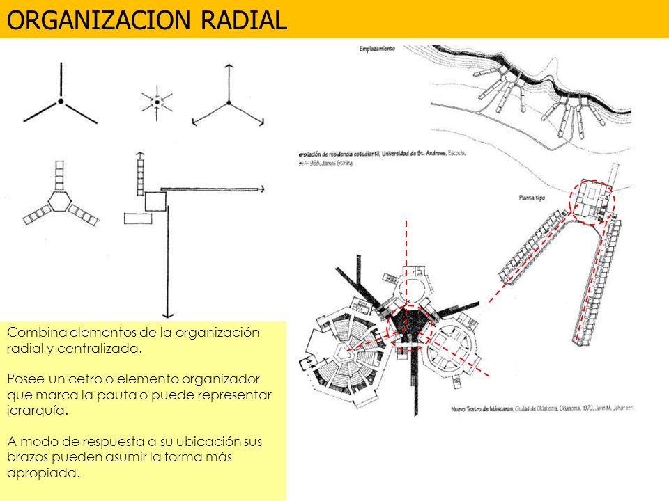 ORGANIZACION RADIAL Combina elementos de la organización radial y centralizada.