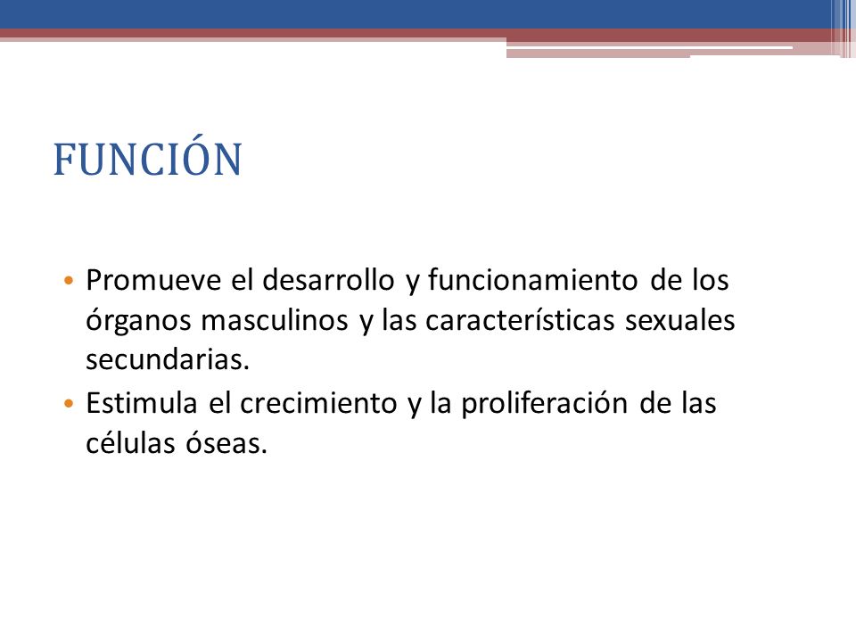 HORMONAS SEXUALES MASCULINAS Y FEMENINAS - ppt video online descargar