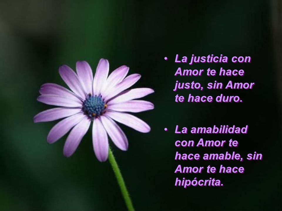 La justicia con Amor te hace justo, sin Amor te hace duro.