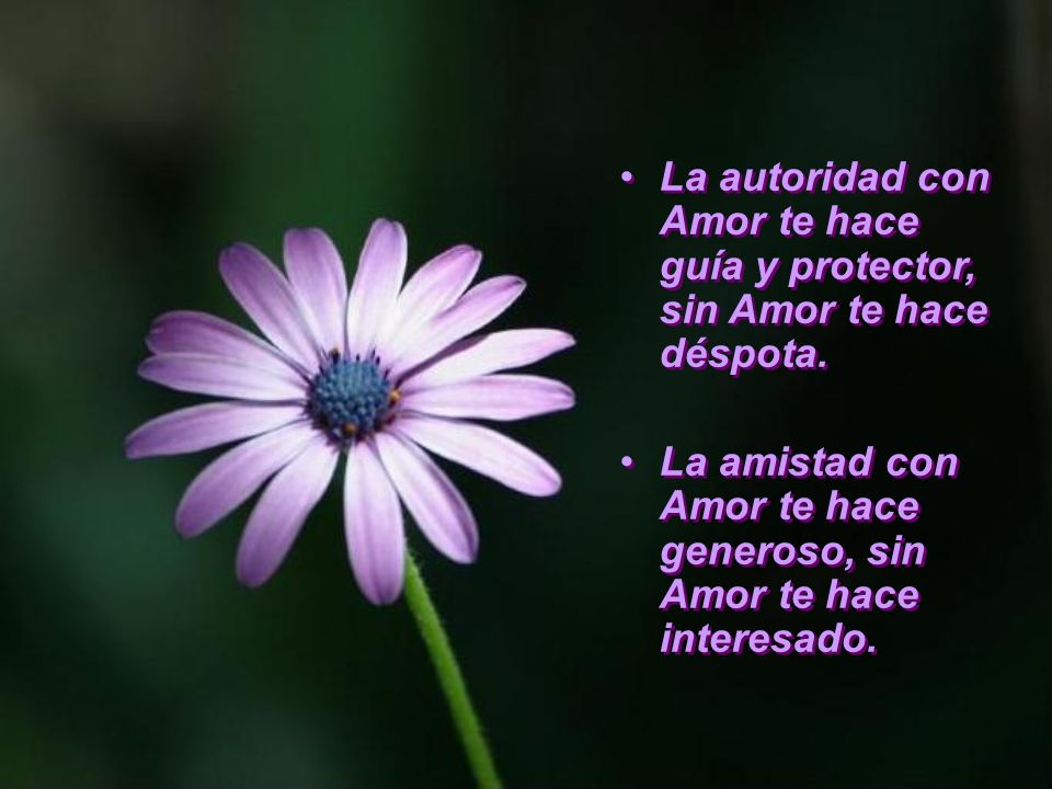 La autoridad con Amor te hace guía y protector, sin Amor te hace déspota.