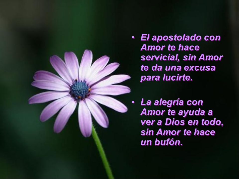 El apostolado con Amor te hace servicial, sin Amor te da una excusa para lucirte.