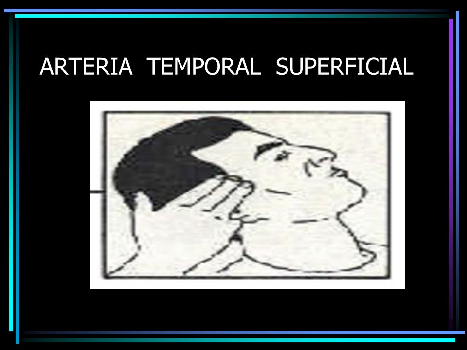 ARTERIA TEMPORAL SUPERFICIAL