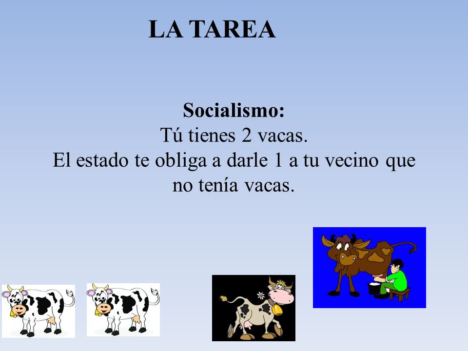 LA TAREA Socialismo: Tú tienes 2 vacas.