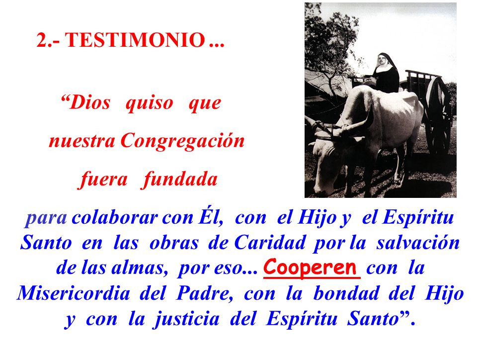 2.- TESTIMONIO ... Dios quiso que. nuestra Congregación. fuera fundada.