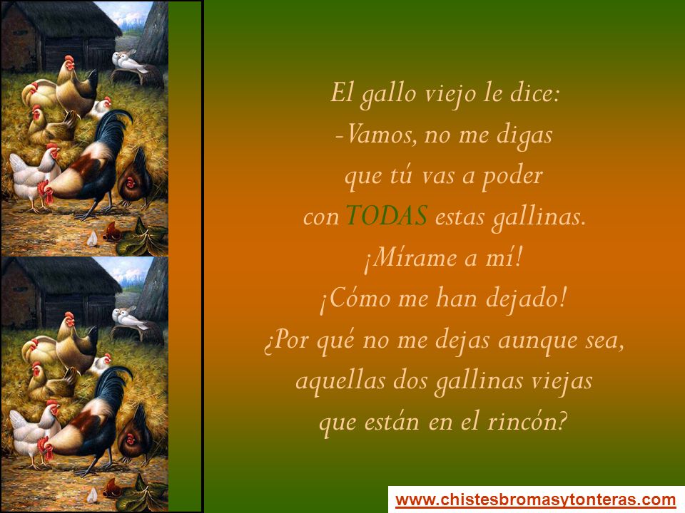 con TODAS estas gallinas. ¡Mírame a mí! ¡Cómo me han dejado!