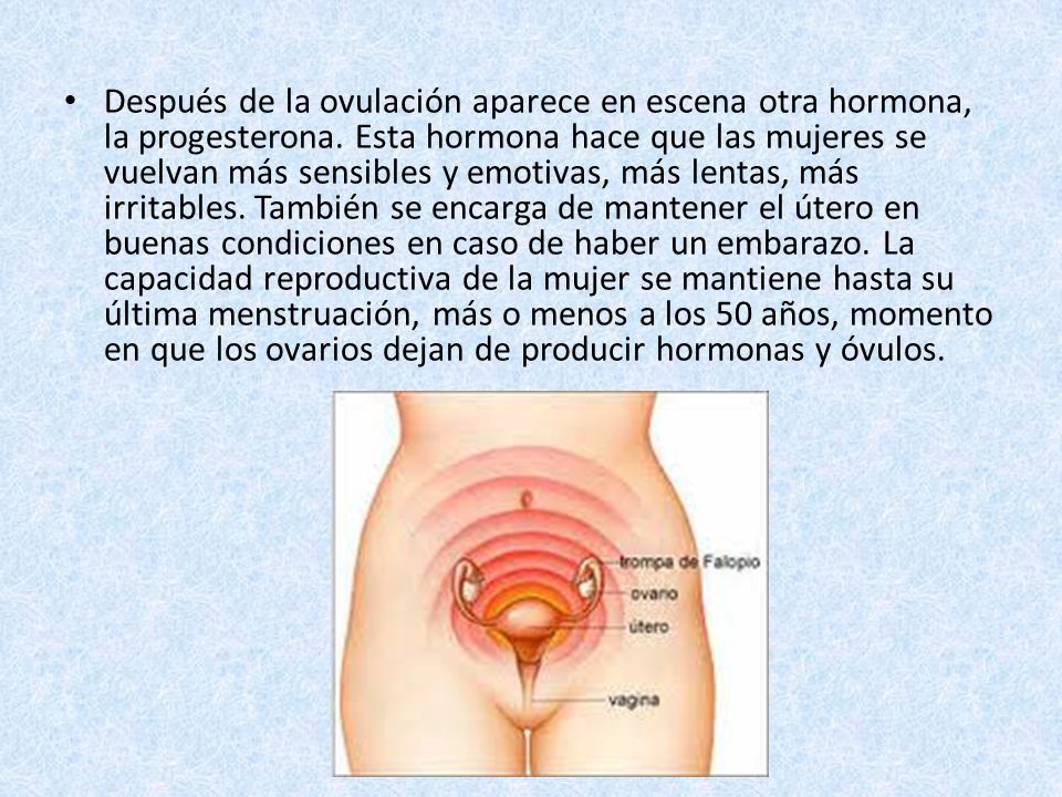 Después de la ovulación aparece en escena otra hormona, la progesterona.