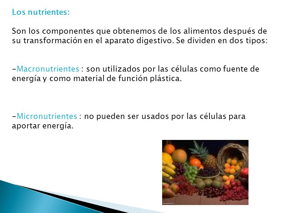 Los nutrientes: Son los componentes que obtenemos de los alimentos después de su transformación en el aparato digestivo. Se dividen en dos tipos: