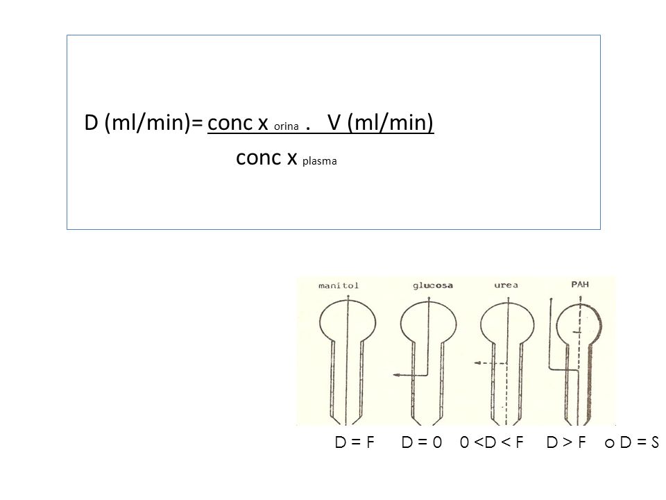 D (ml/min)= conc x orina . V (ml/min) conc x plasma