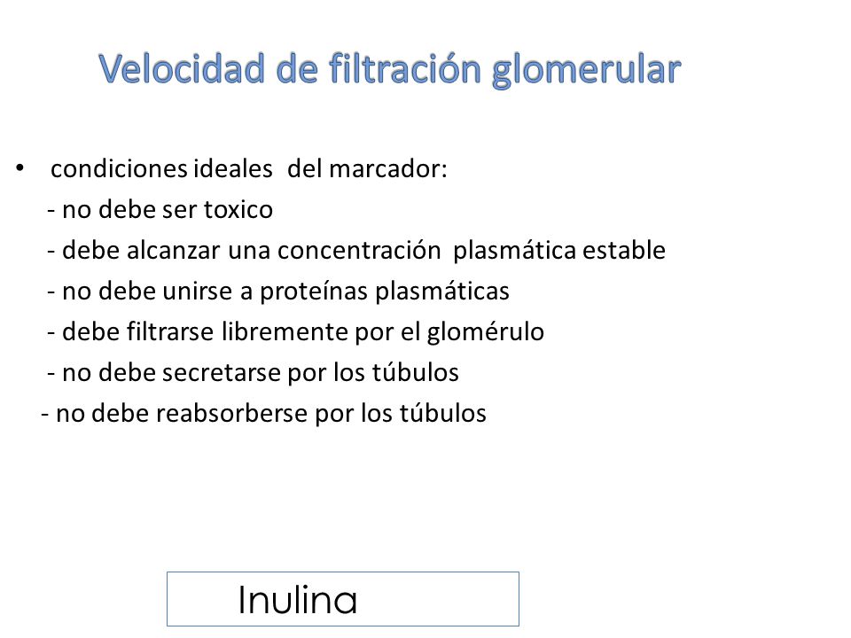 Velocidad de filtración glomerular