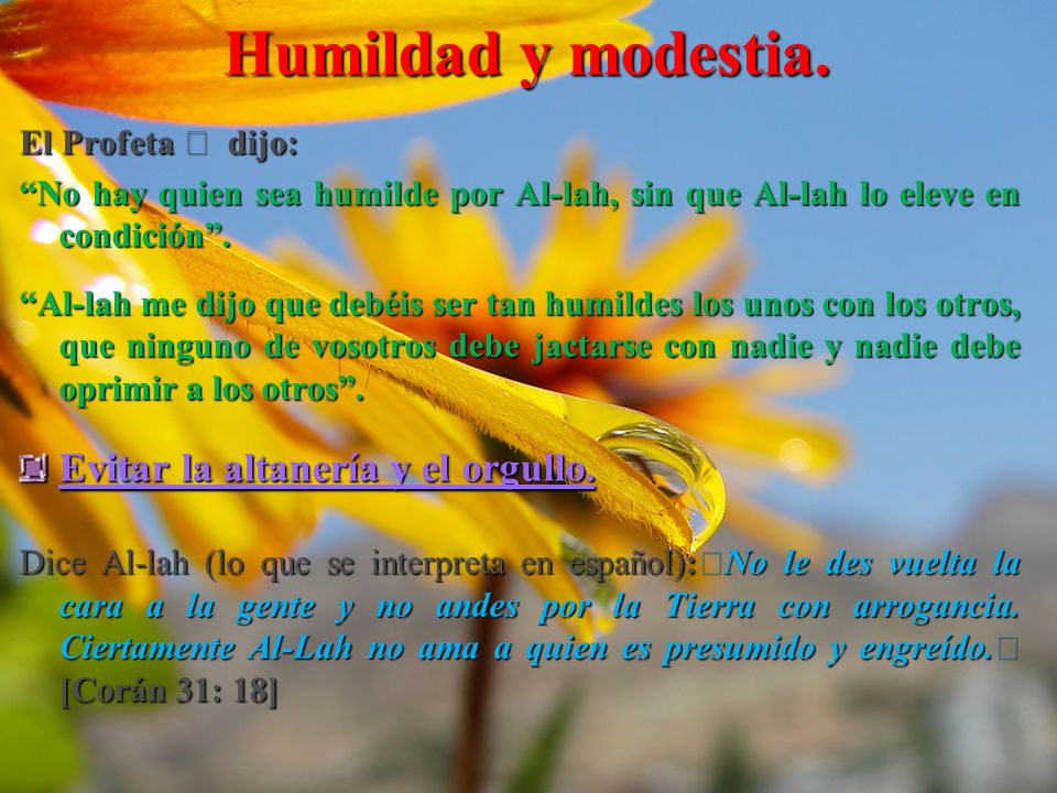 Humildad y modestia. Evitar la altanería y el orgullo.
