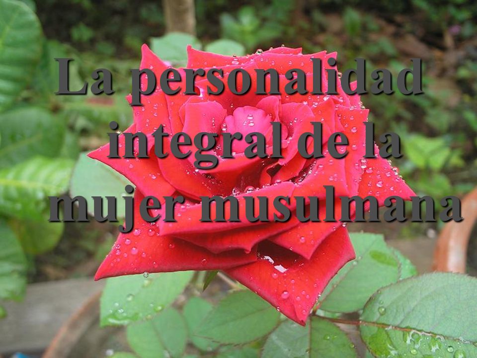 La personalidad integral de la mujer musulmana