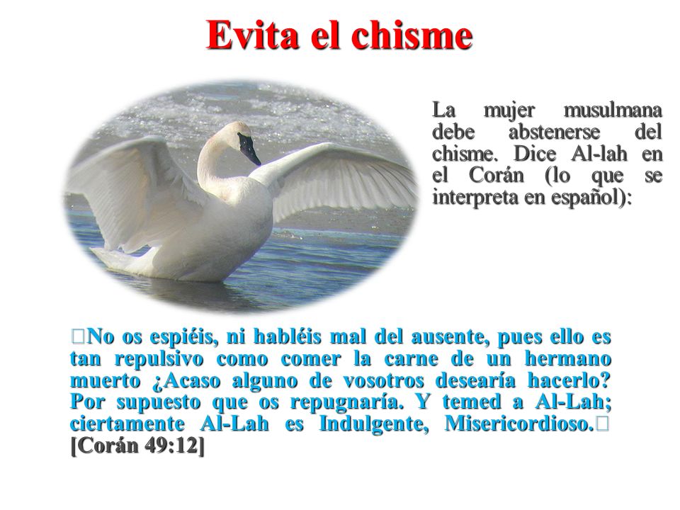 Evita el chisme La mujer musulmana debe abstenerse del chisme. Dice Al-lah en el Corán (lo que se interpreta en español):