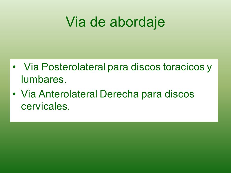 Via de abordaje Via Posterolateral para discos toracicos y lumbares.