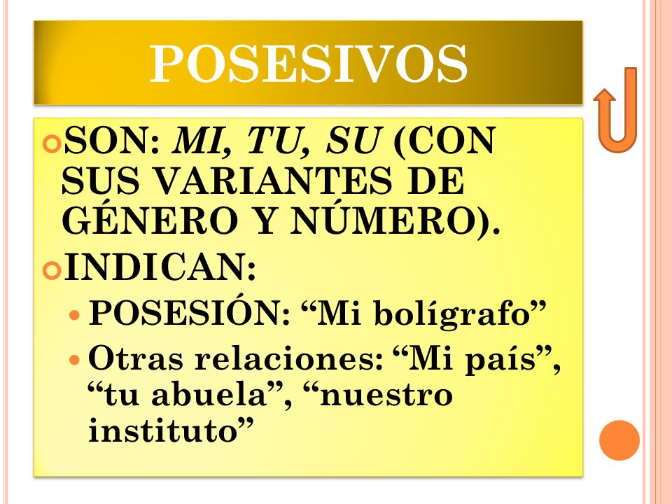 POSESIVOS SON: MI, TU, SU (CON SUS VARIANTES DE GÉNERO Y NÚMERO).