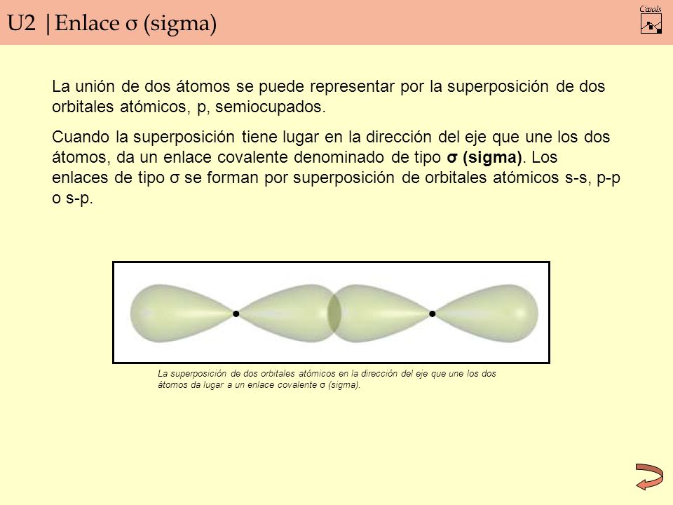 U2 |Enlace σ (sigma) La unión de dos átomos se puede representar por la superposición de dos orbitales atómicos, p, semiocupados.