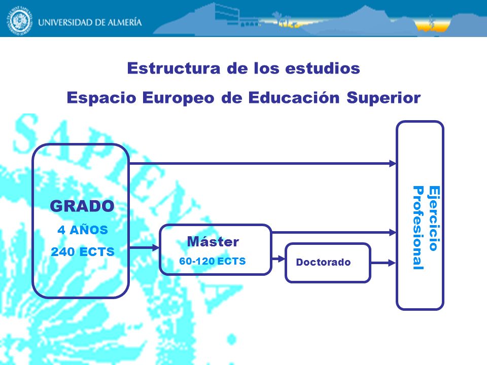 Estructura de los estudios Espacio Europeo de Educación Superior