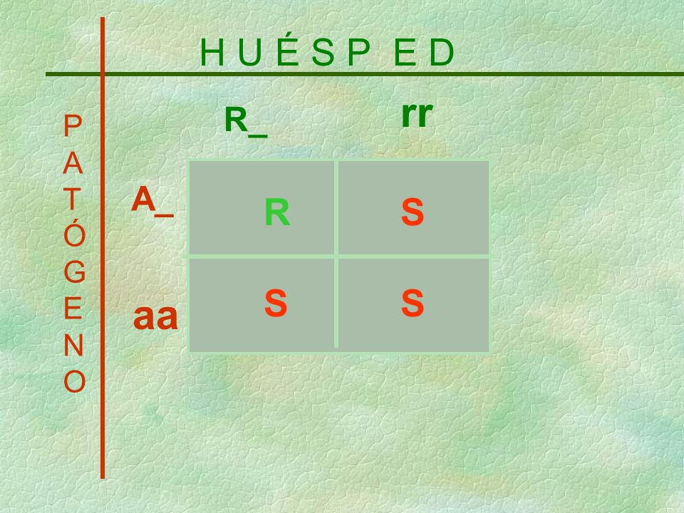 H U É S P E D rr R_ P A T Ó G E N O R S S S A_ aa