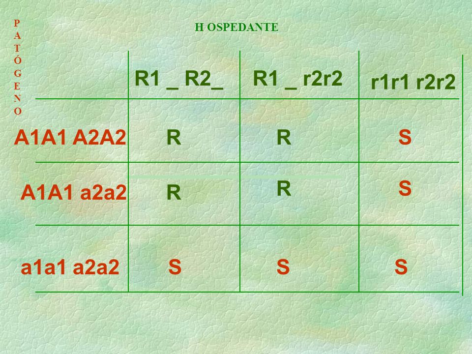 R1 _ R2_ R1 _ r2r2 r1r1 r2r2 A1A1 A2A2 R R S R S A1A1 a2a2 R a1a1 a2a2