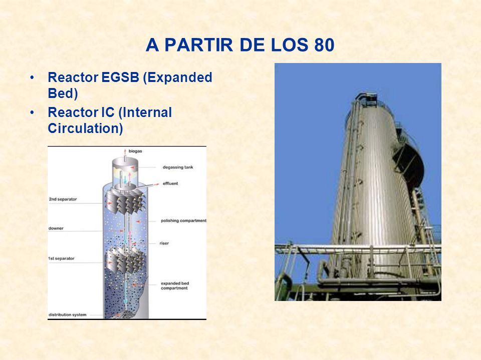 A PARTIR DE LOS 80 Reactor EGSB (Expanded Bed)