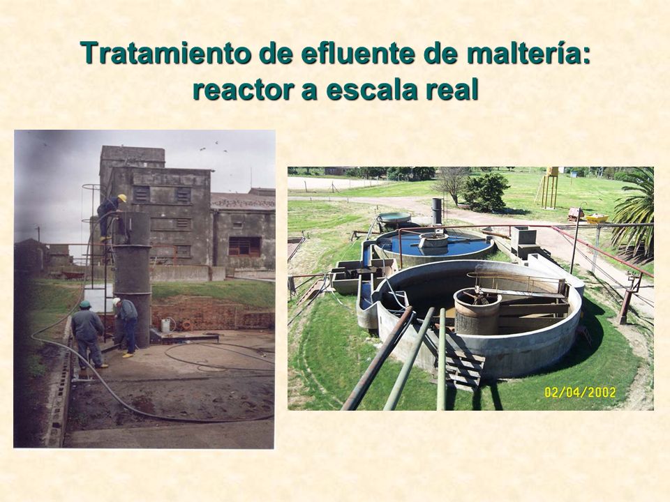 Tratamiento de efluente de maltería: reactor a escala real