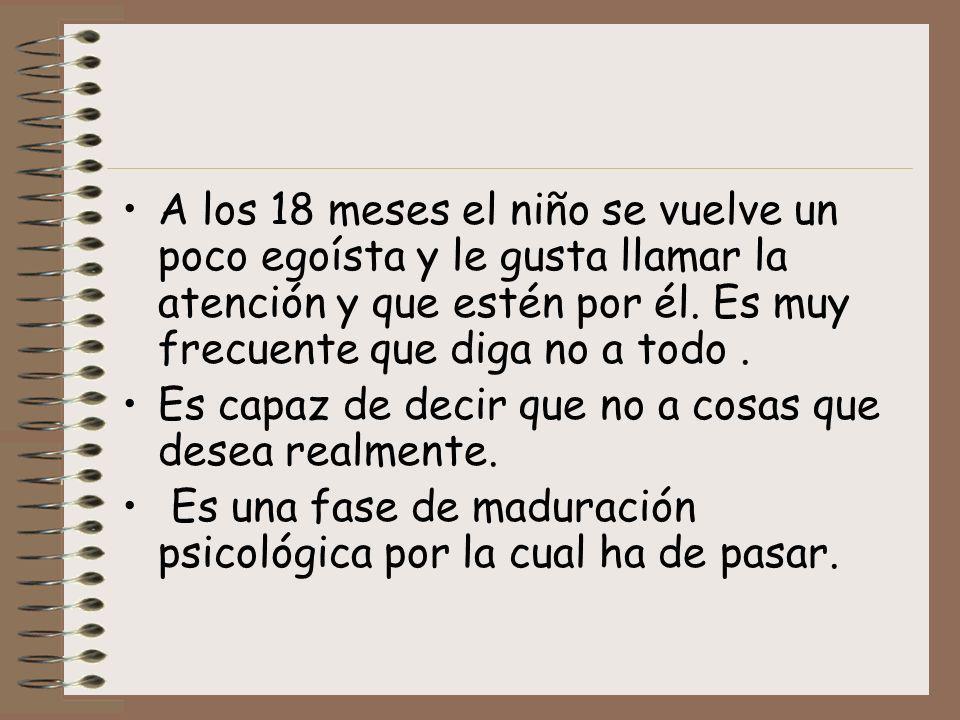 A los 18 meses el niño se vuelve un poco egoísta y le gusta llamar la atención y que estén por él. Es muy frecuente que diga no a todo .
