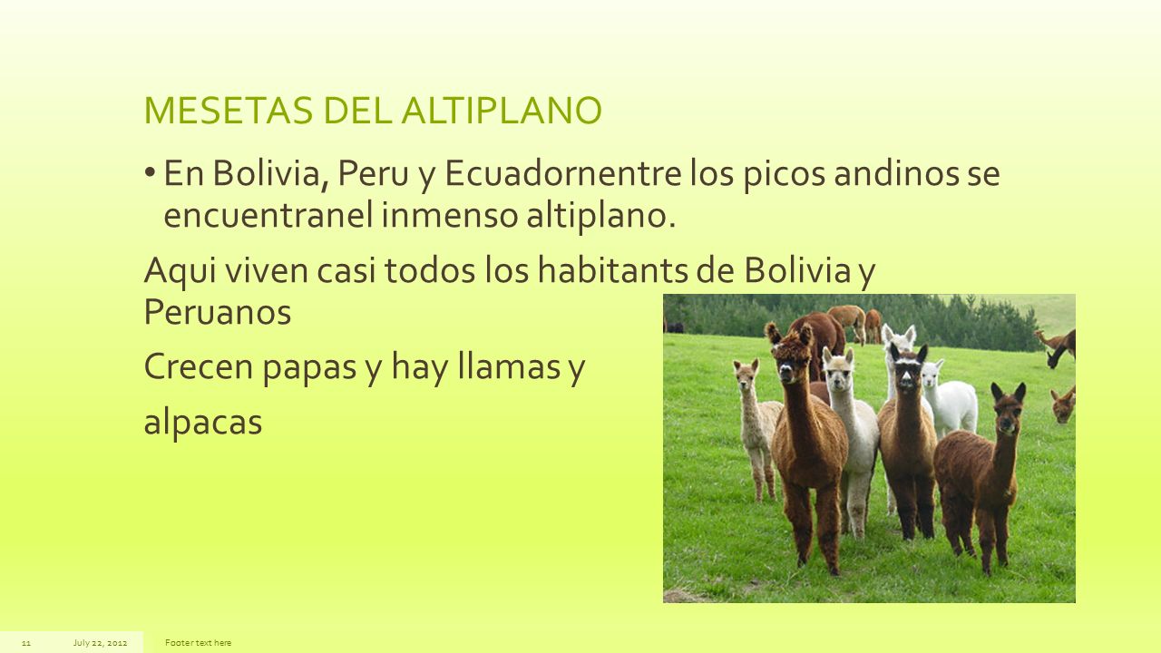 MESETAS DEL ALTIPLANO En Bolivia, Peru y Ecuadornentre los picos andinos se encuentranel inmenso altiplano.