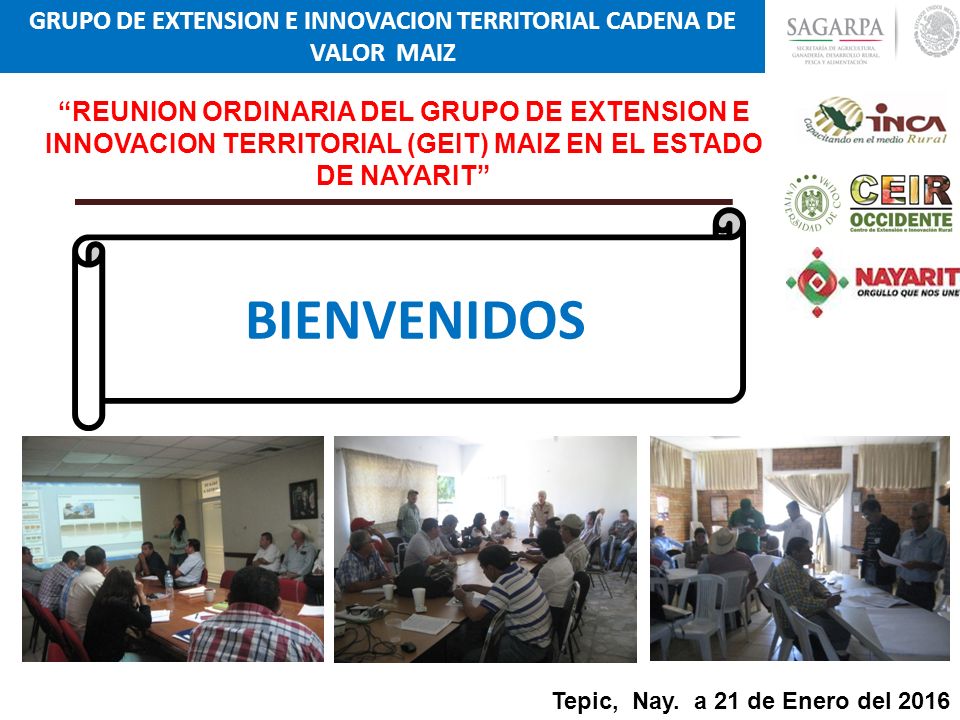 GRUPO DE EXTENSION E INNOVACION TERRITORIAL CADENA DE VALOR MAIZ